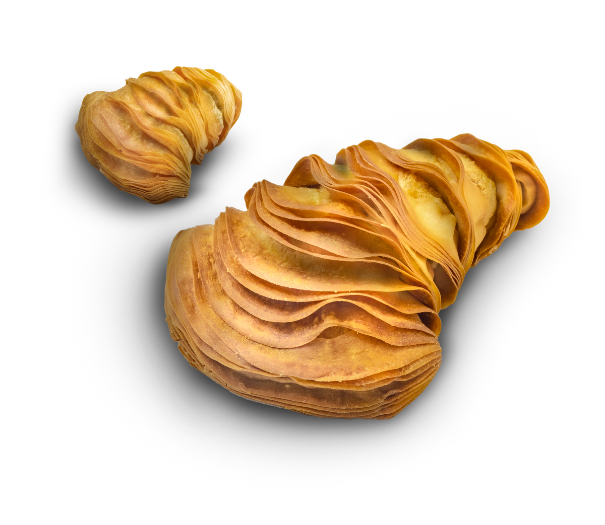 Code d'Aragosta Grande